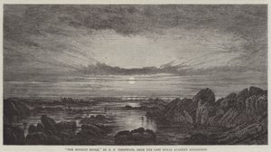 The Moonlit Shore by George F. Teniswood